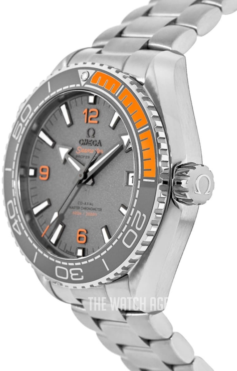 Omega Seamaster Planet Ocean 600M Automatic winding Men's Dress / Sport 215.90.44.21.99.001