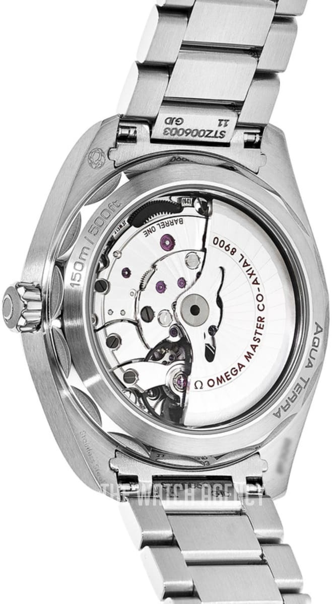 Omega Seamaster Aqua Terra 150M Automatic winding Men's dress watch 220.10.41.21.03.004