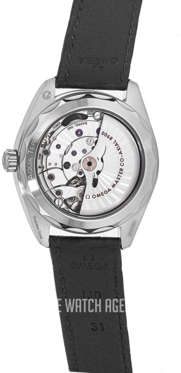 Omega Seamaster Aqua Terra 150M Automatic winding Men's dress watch 220.13.41.21.01.001