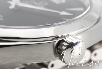Omega Seamaster Aqua Terra Automatic winding Men's watch 2502.52.00
