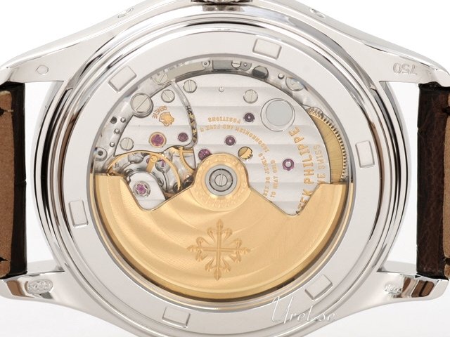 Patek Philippe Complicated Annual Calender Automatic winding Men's dress watch 5146G/001