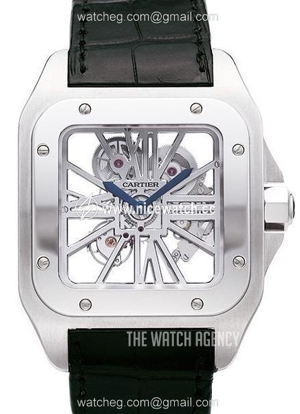 Cartier Santos 100 Automatic winding Men's dress watch W2020018