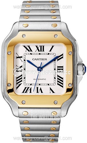 Cartier Santos de Cartier Automatic winding Men's dress watch W2SA0016