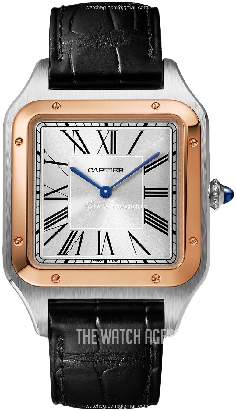 Cartier Santos Dumont Automatic winding Men's dress watch W2SA0017