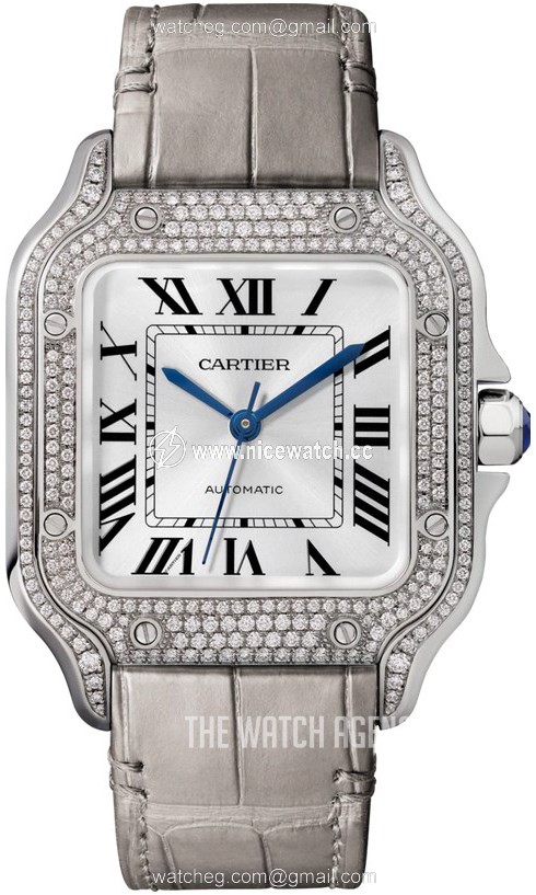 Cartier Santos de Cartier Automatic winding Men's dress watch WJSA0014