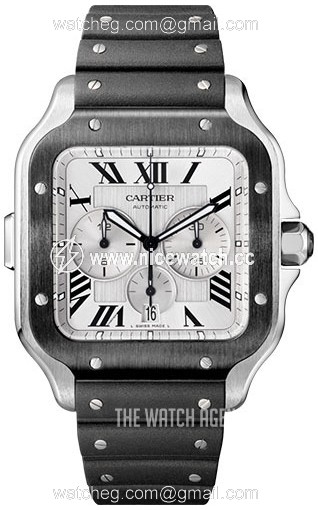 Cartier Santos de Cartier Automatic winding Men's Dress / Sport WSSA0017