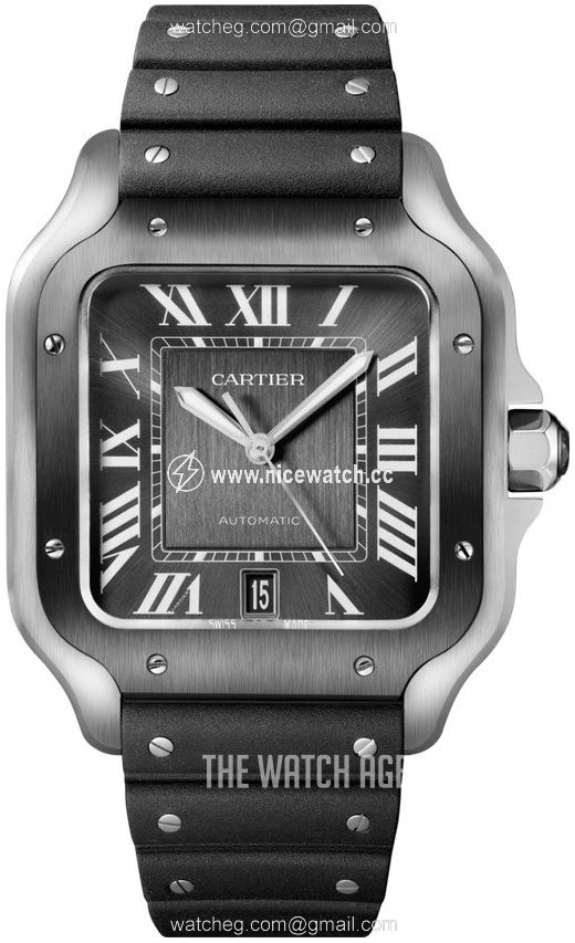 Cartier Santos de Cartier Automatic winding Men's dress watch WSSA0037