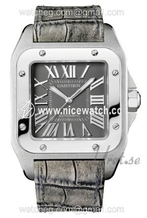 Cartier Santos 100 Automatic winding Ladies watch W20134X8