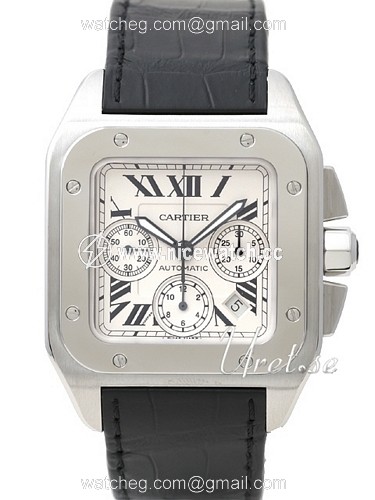 Cartier Santos Santos 100 Automatic winding Men's dress watch W20090X8