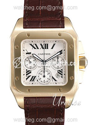 Cartier Santos 100 Automatic winding Men's watch W20096Y1