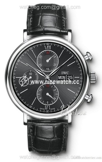 IWC Portofino Automatic winding Men's dress watch IW391002