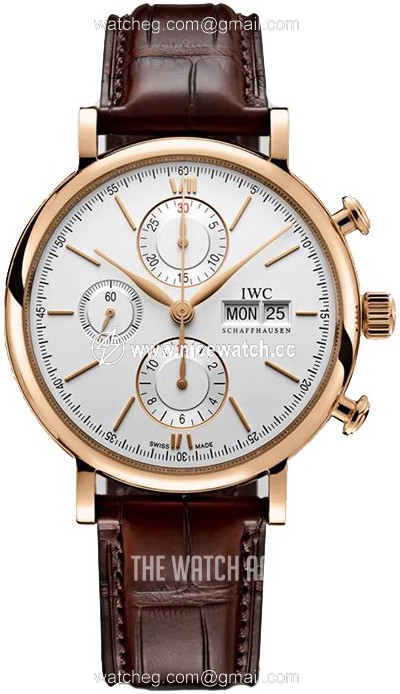 IWC Portofino Automatic winding Men's Dress / Sport IW391025