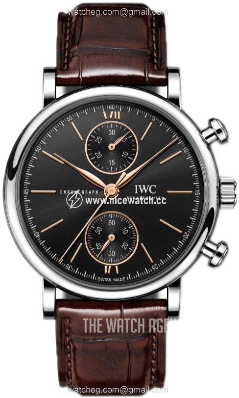 IWC Portofino Automatic winding Men's Dress / Sport IW391404