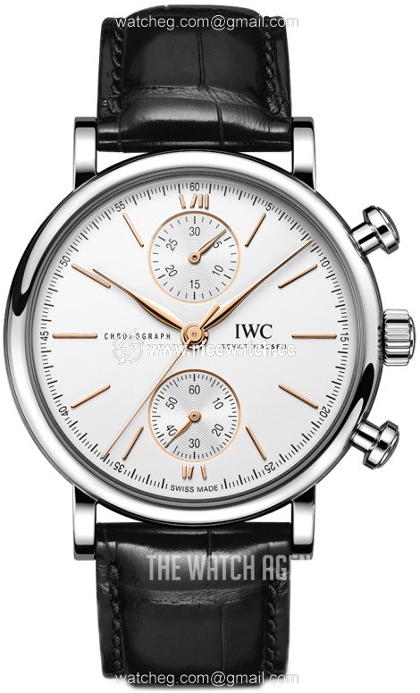 IWC Portofino Automatic winding Men's Dress / Sport IW391406