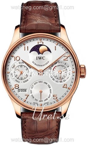 IWC Portuguese Automatic winding Men's watch IW502213