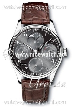IWC Portuguese Automatic winding Men's watch IW502218