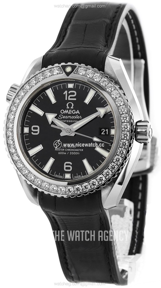 Omega Seamaster Planet Ocean 600M Automatic winding Unisex Dress / Sport 215.18.40.20.01.001