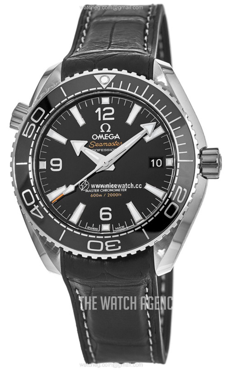 Omega Seamaster Planet Ocean 600M Automatic winding Men's Dress / Sport 215.33.40.20.01.001