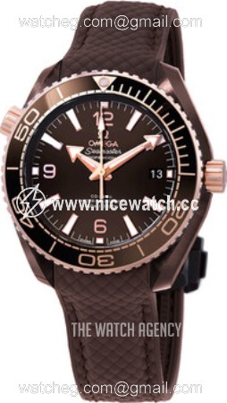 Omega Seamaster Planet Ocean 600M Automatic winding Unisex Dress / Sport 215.62.40.20.13.001