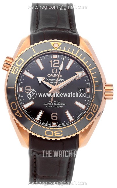 Omega Seamaster Planet Ocean 600M Automatic winding Men's Dress / Sport 215.63.40.20.13.001