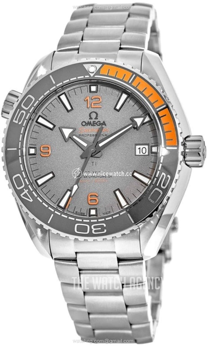 Omega Seamaster Planet Ocean 600M Automatic winding Men's Dress / Sport 215.90.44.21.99.001
