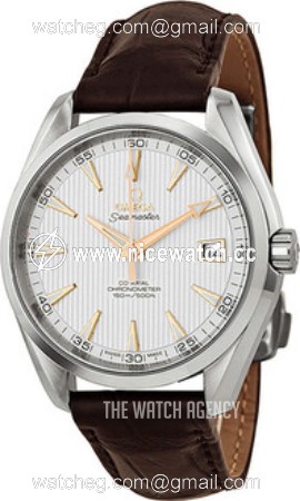 Omega Seamaster Aqua Terra Chronometer Automatic winding Men's dress watch 231.13.42.21.02.002