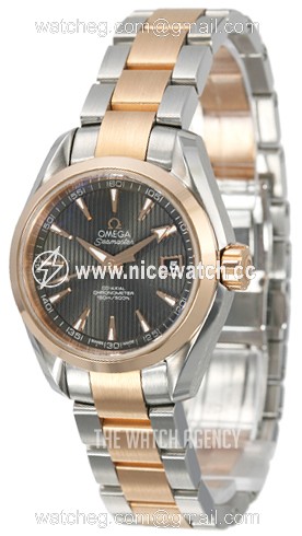 Omega Seamaster Aqua Terra Automatic Automatic winding Ladies dress watch 231.20.30.20.06.001