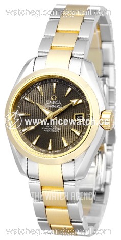 Omega Seamaster Aqua Terra Automatic Automatic winding Ladies dress watch 231.20.30.20.06.002