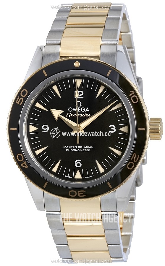 Omega Seamaster Diver 300m Master Co-Axial 41mm Automatic winding Men's Dress / Sport 233.20.41.21.01.002