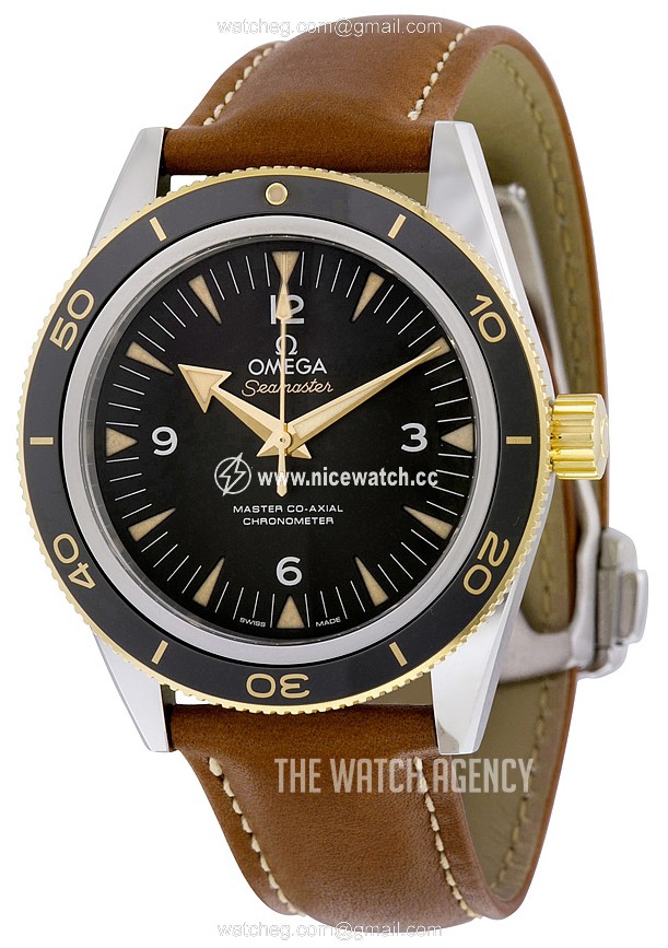 Omega Seamaster Diver 300m Master Co-Axial 41mm Automatic winding Men's Dress / Sport 233.22.41.21.01.001