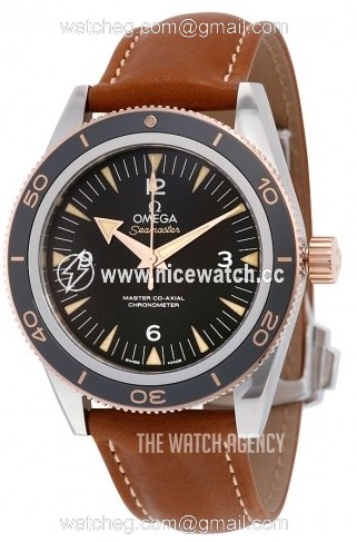 Omega Seamaster Diver 300m Master Co-Axial 41mm Automatic winding Men's Dress / Divers model 233.22.41.21.01.002