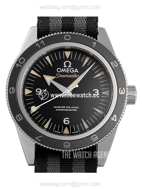 Omega Seamaster Diver 300m Master Co-Axial 41mm Automatic winding Men's watch 233.32.41.21.01.001