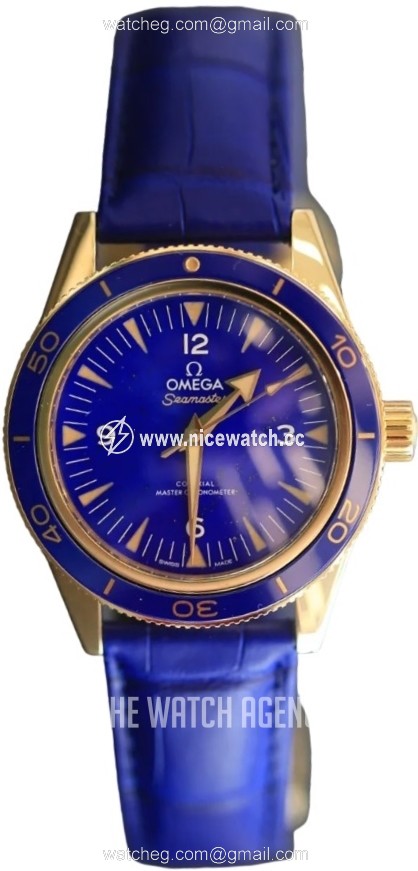 Omega Seamaster 300M Automatic winding Men's Dress / Sport 234.63.41.21.99.002