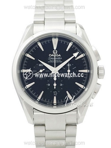 Omega Seamaster Aqua Terra Automatic winding Men's watch 2512.50.00