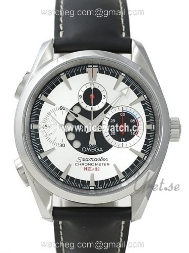 Omega Seamaster Aqua Terra Automatic winding Men's watch 2813.30.81