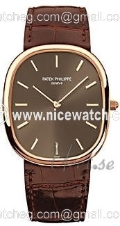 Patek Philippe Golden Ellipse Automatic winding Men's watch 3738/100R