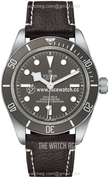 Tudor Black Bay Automatic winding Men's Dress / Sport M79010SG-0001