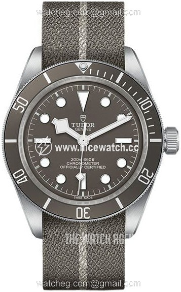 Tudor Black Bay Automatic winding Men's Dress / Sport M79010SG-0002
