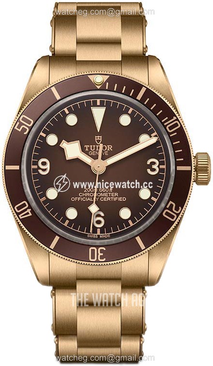 Tudor Black Bay Automatic winding Men's Dress / Sport M79012M-0001