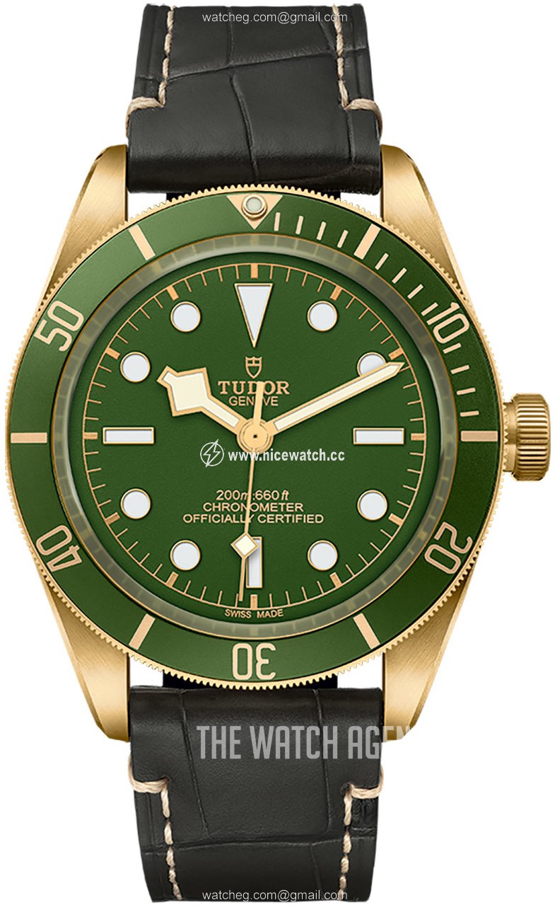 Tudor Black Bay Automatic winding Men's Dress / Sport M79018V-0001
