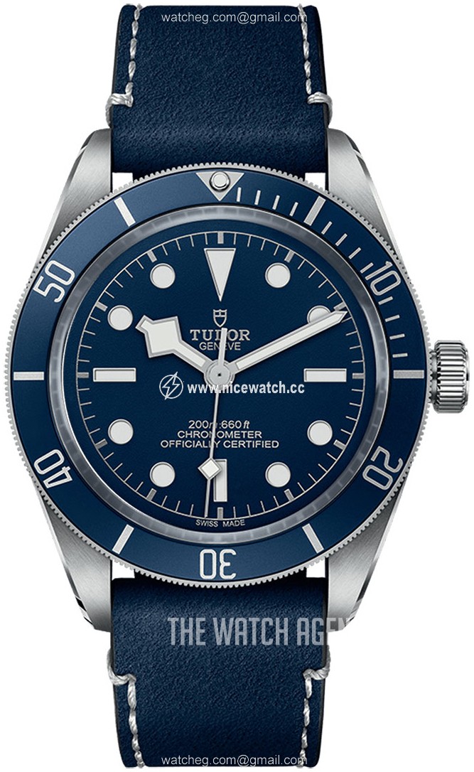 Tudor Black Bay Automatic winding Men's Dress / Sport M79030B-0002