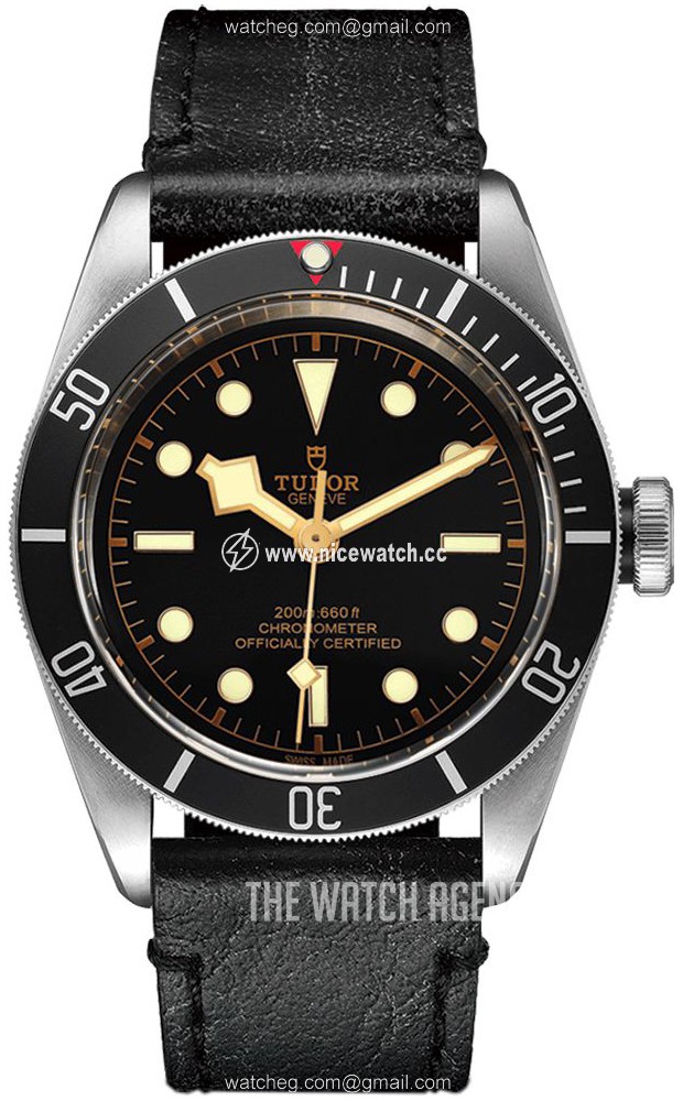 Tudor Black Bay Automatic winding Men's Dress / Sport M79230N-0008