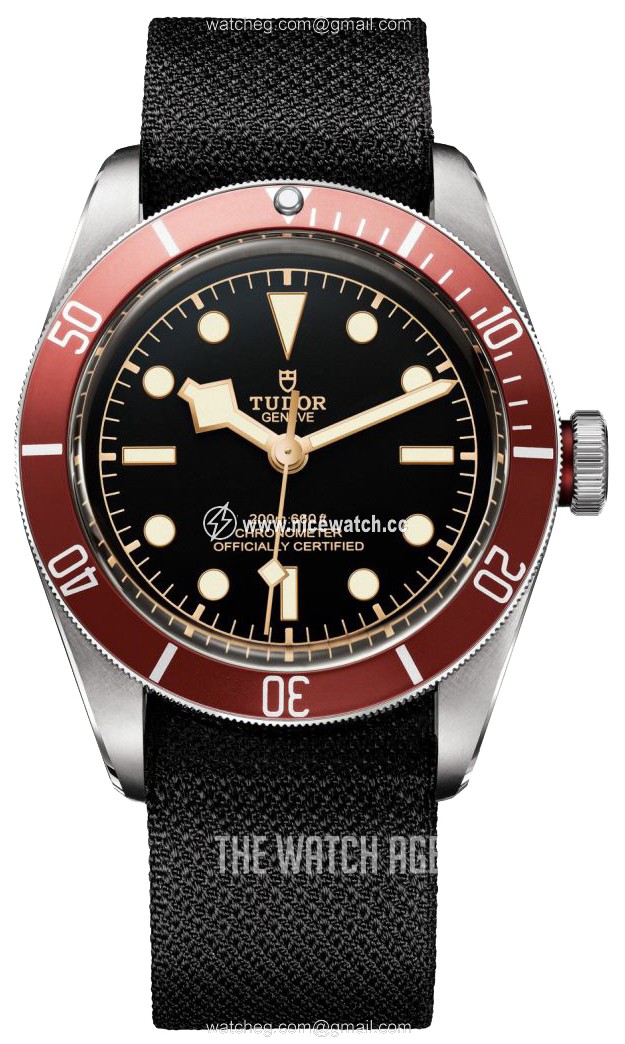 Tudor Black Bay Automatic winding Men's Dress / Sport M79230R-0010