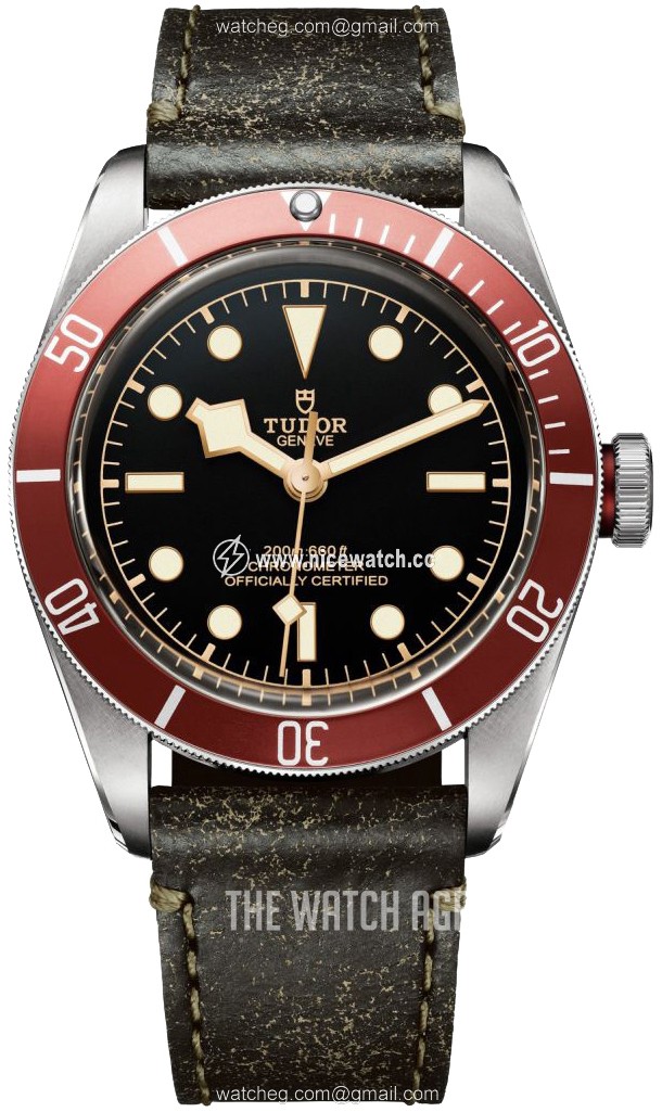 Tudor Black Bay Automatic winding Men's Dress / Sport M79230R-0011