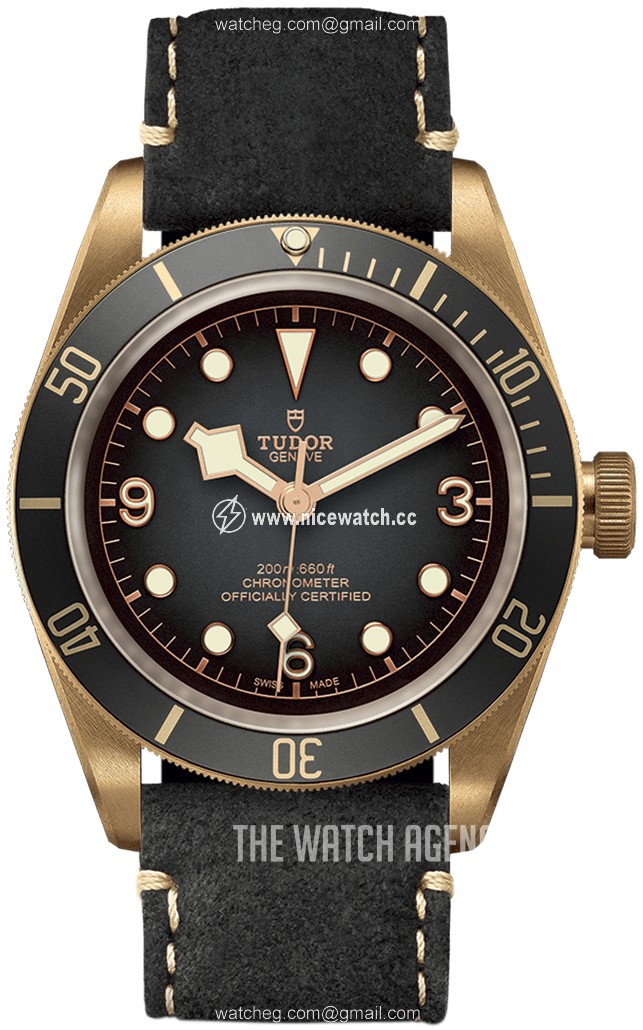 Tudor Black Bay Automatic winding Men's Dress / Sport M79250BA-0001