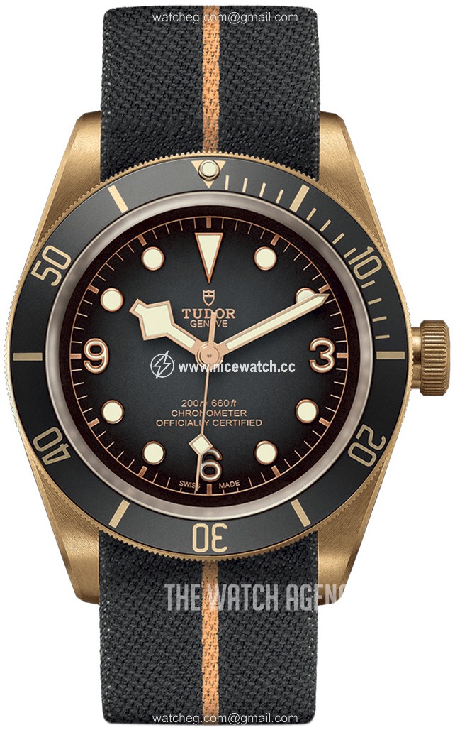 Tudor Black Bay Automatic winding Men's Dress / Sport M79250BA-0002