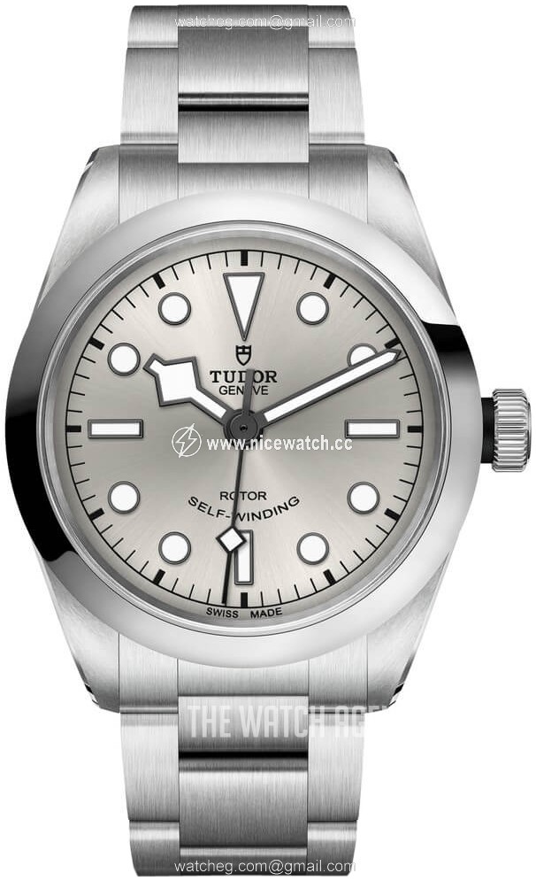 Tudor Black Bay Automatic winding Unisex dress watch M79500-0013