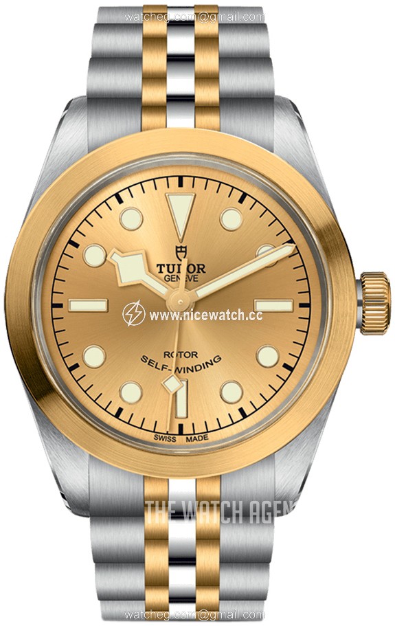Tudor Black Bay Automatic winding Unisex dress watch M79503-0002