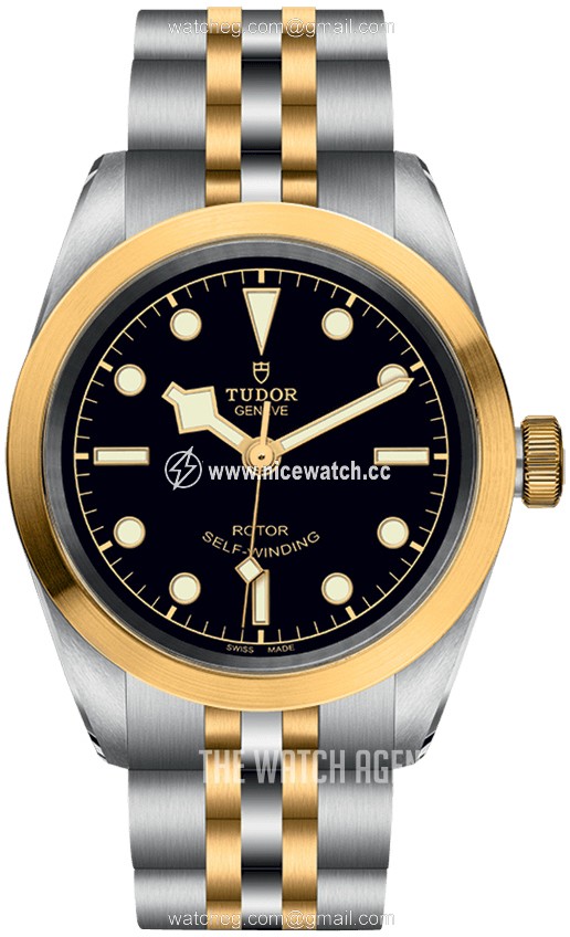 Tudor Black Bay Automatic winding Ladies dress watch M79583-0001