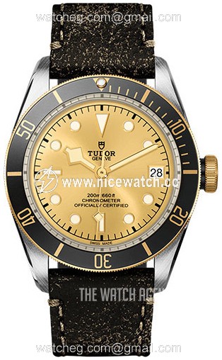 Tudor Black Bay Automatic winding Men's Dress / Sport M79733N-0003